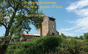 Chateau Montegut Rustique